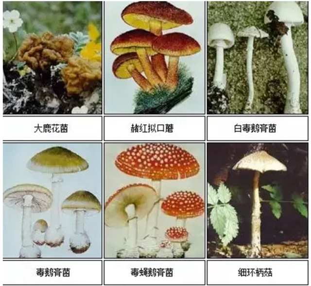 【擴(kuò)散】最強(qiáng)降雨來襲！好多人都遭了？(圖13)