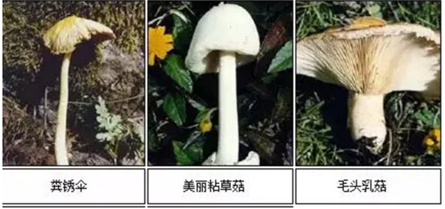 【擴(kuò)散】最強(qiáng)降雨來襲！好多人都遭了？(圖15)