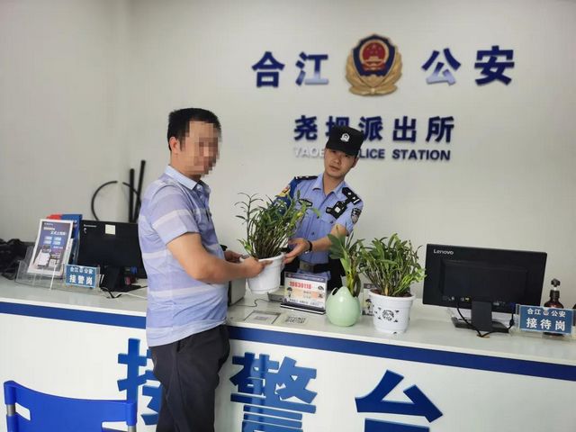 合江堯壩：民警一條微信，破解金釵石斛丟失謎團！(圖5)