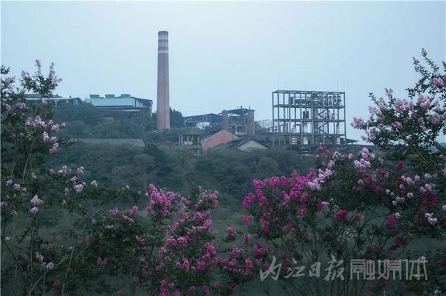 內江版“普羅旺斯”神秘面紗拉開！盛大的花海之宴開啟(圖13)