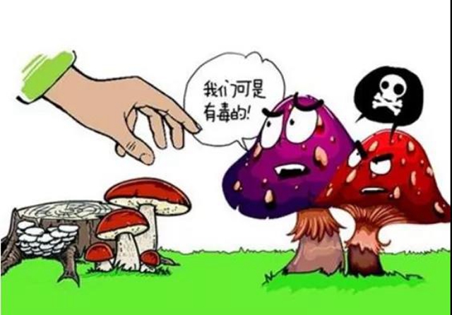 7月，瀘州市民要關(guān)注這些疾病！(圖3)