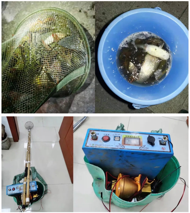 鯰魚(yú)、鯽魚(yú)、小龍蝦，瀘州男子深夜電魚(yú)被抓，只因兒子想吃……(圖1)