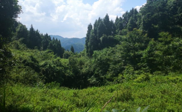 王海清：一屯兩省六十年堅(jiān)守紅軍英靈(圖8)