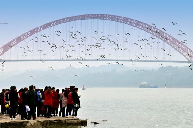 瀘州水務(wù)系統(tǒng)“慶祝建黨100周年，共護(hù)綠水青山”攝影作品征集活動入圍作品公布啦！(圖7)