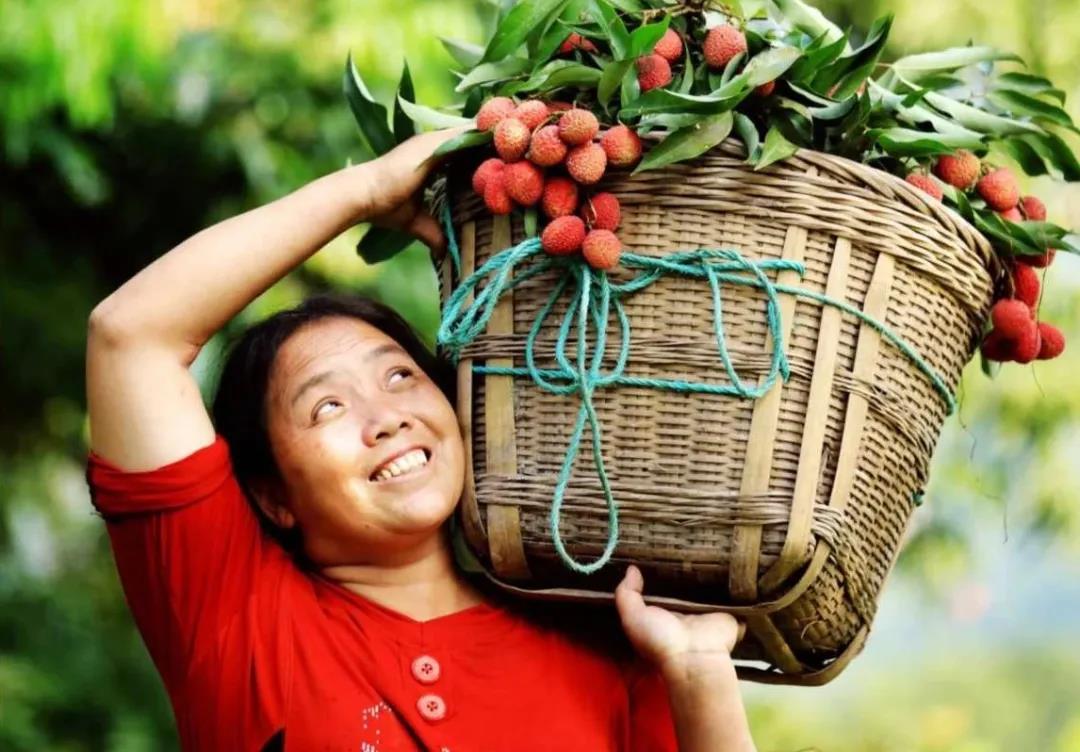 【擴散】合江荔枝來了！300架無人機炫酷助陣(圖5)