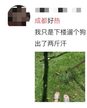 最高溫39℃！今年夏天四川為啥這么熱？還要熱多久？
