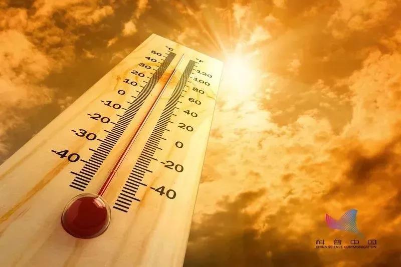 【關(guān)注】43℃高溫下，被燙死了……