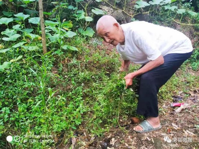 贊！榮縣105歲老人主動接種新冠疫苗！你還等什么？(圖2)