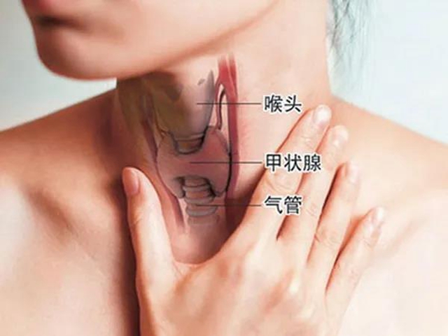 【關注】這個“善良的癌癥”，女性發(fā)病率是男性的3倍！(圖3)
