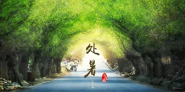【處暑】明天起，養(yǎng)生注意這三點！(圖3)