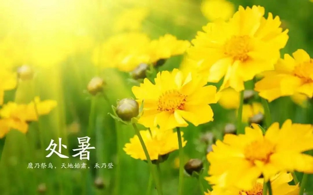 【處暑】明天起，養(yǎng)生注意這三點！(圖5)