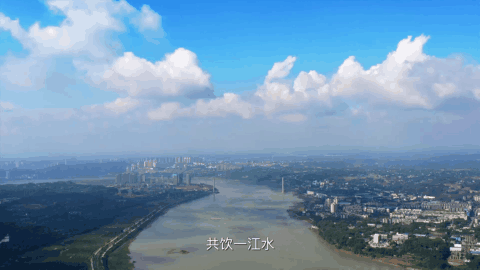 全省公安機關(guān)服務保障長江經(jīng)濟帶高質(zhì)量發(fā)展工作推進會在瀘州召開(圖18)