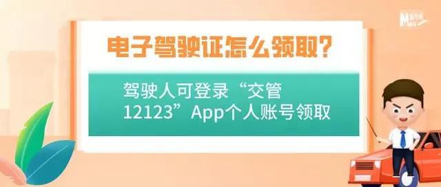 @自貢司機，9月起出門不用帶駕照咯！(圖7)