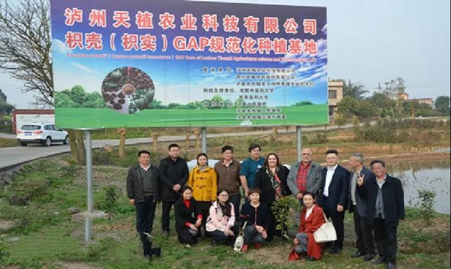 30家單位齊聚西南醫(yī)大中醫(yī)院共促中醫(yī)藥發(fā)展！(圖20)