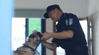 訓犬建功！瀘州馬中平被評為“最美警務輔助人員”(圖8)