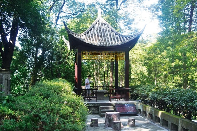 生日快樂！西南醫(yī)大今天70歲了！(圖4)