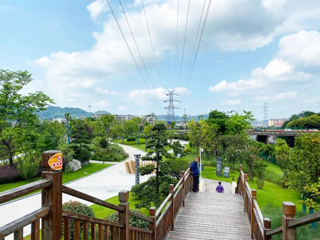 休閑娛樂新去處！市樹市花示范園即將開放，就在翠屏這里……