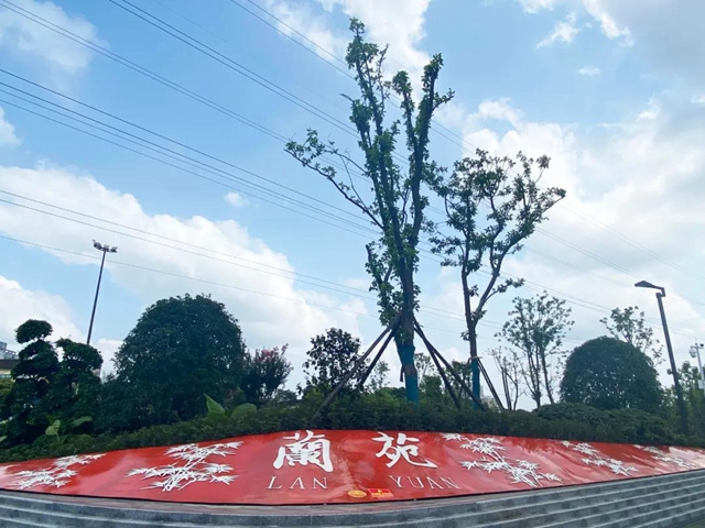 休閑娛樂新去處！市樹市花示范園即將開放，就在翠屏這里……(圖3)