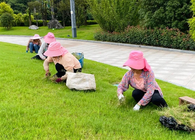 休閑娛樂新去處！市樹市花示范園即將開放，就在翠屏這里……(圖10)