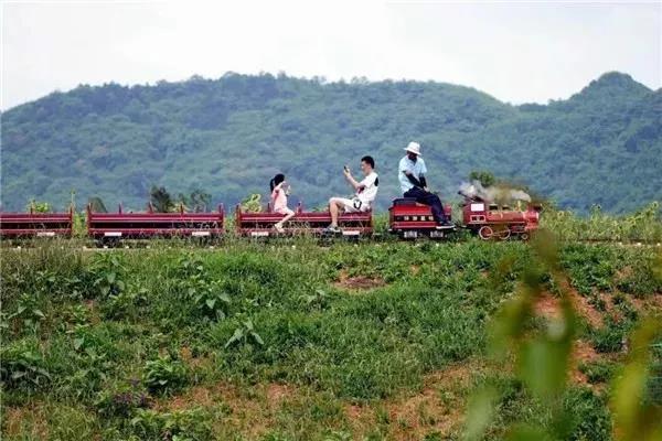 國慶長假去哪玩？納溪這些地方很不錯哦(圖10)