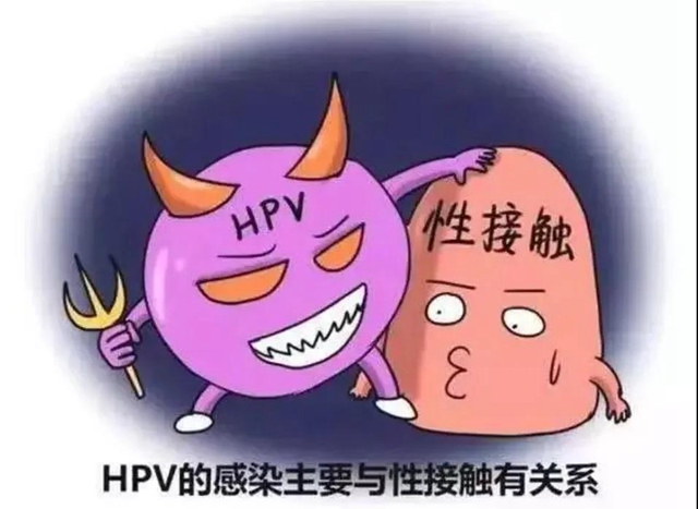 【擴(kuò)散】感染了HPV病毒，就是得了宮頸癌？(圖4)