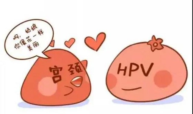 【擴(kuò)散】感染了HPV病毒，就是得了宮頸癌？(圖5)