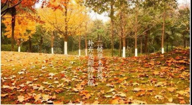 【霜降】今天起，不要吃燒烤了？(圖4)