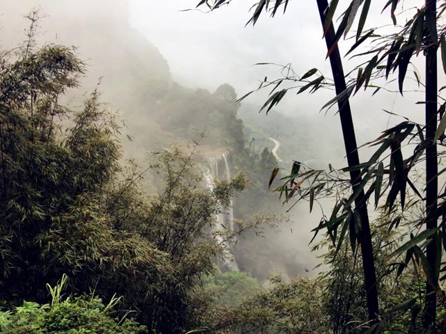 觀竹景、賞竹文、品竹食……快來領(lǐng)略宜賓最美竹游風(fēng)情！(圖3)