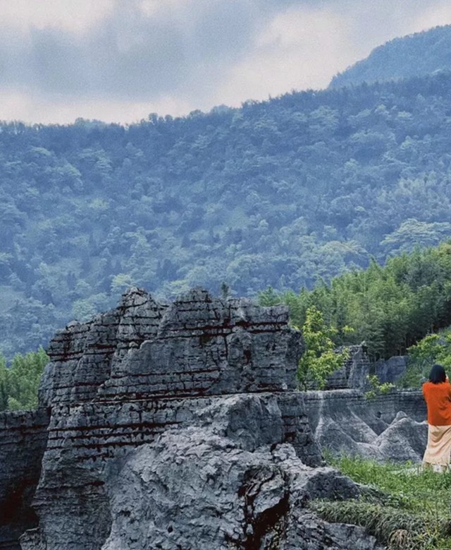 觀竹景、賞竹文、品竹食……快來領(lǐng)略宜賓最美竹游風(fēng)情！(圖6)