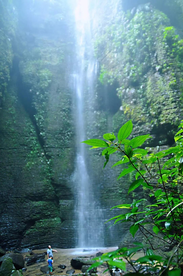 觀竹景、賞竹文、品竹食……快來領(lǐng)略宜賓最美竹游風(fēng)情！(圖9)