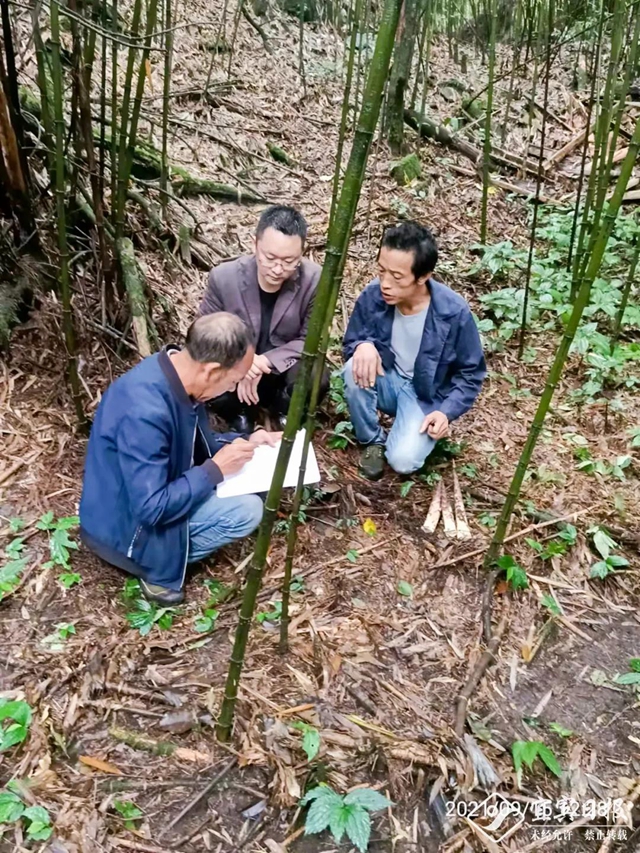 野生動(dòng)物“肇事”由政府投?！百I單”！宜賓18戶村民領(lǐng)到賠償金！(圖5)