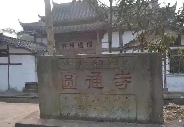 【我們這五年】瀘州這些文化遺產(chǎn)，了解一下！(圖13)