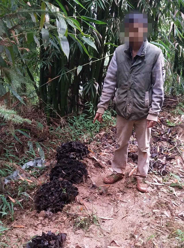 膽大包天！合江石龍鎮(zhèn)一男子直播售賣國(guó)家二級(jí)保護(hù)植物，被網(wǎng)友舉報(bào)……(圖4)