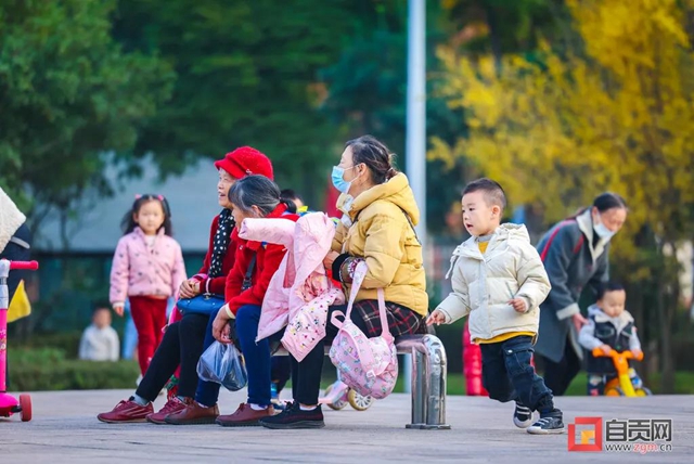 錯過又等一年！現(xiàn)在的自貢美不勝收，還不去打卡！(圖21)