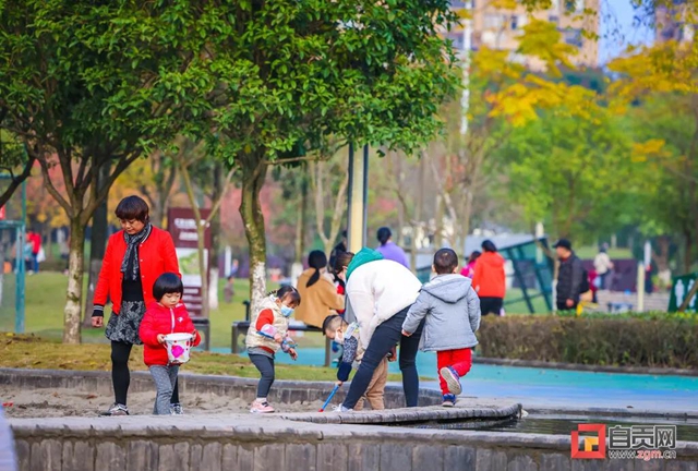 錯過又等一年！現(xiàn)在的自貢美不勝收，還不去打卡！(圖23)