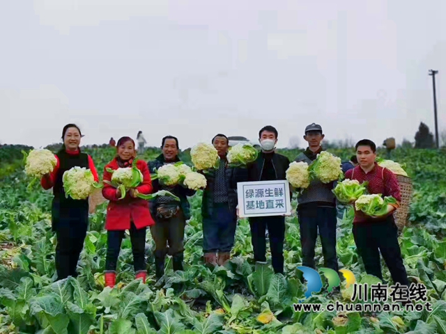 宜賓南溪區(qū)長(zhǎng)興鎮(zhèn)：90后姑娘扎根田野，圓了自己的創(chuàng)業(yè)夢(mèng)(圖4)