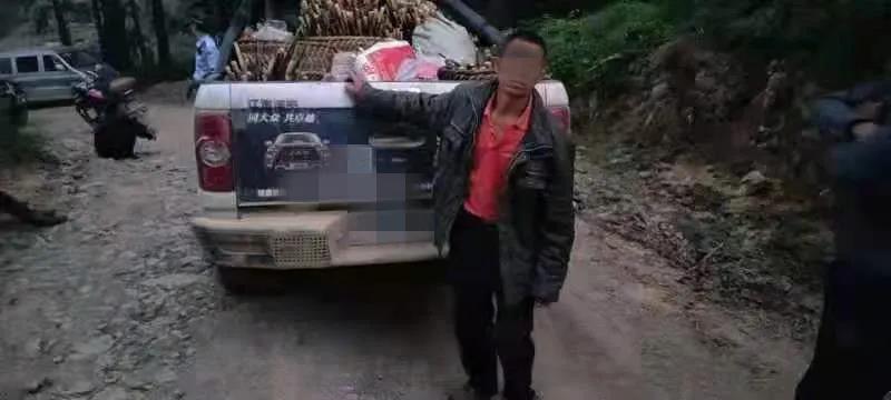 古藺男子開皮卡車偷竹筍被逮個(gè)正著！(圖2)