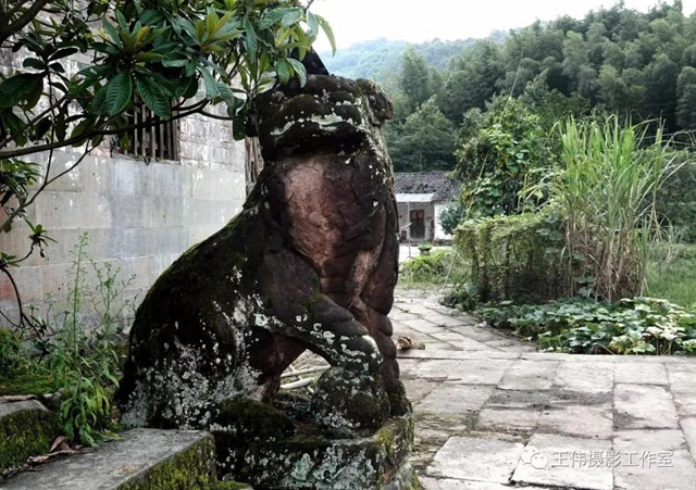 【我的鄉(xiāng)愁】合江：高山下的陳氏祠堂(圖10)