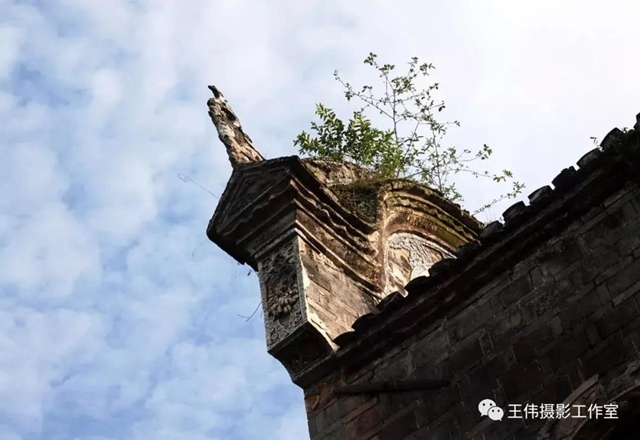 【我的鄉(xiāng)愁】合江：高山下的陳氏祠堂(圖20)