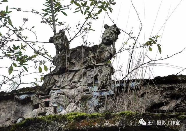 【我的鄉(xiāng)愁】合江：高山下的陳氏祠堂(圖21)
