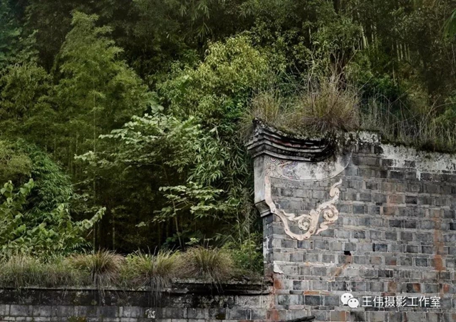 【我的鄉(xiāng)愁】合江：高山下的陳氏祠堂(圖22)