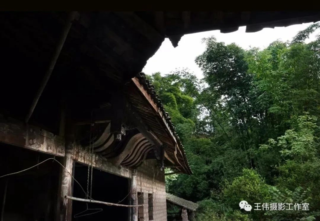 【我的鄉(xiāng)愁】合江：高山下的陳氏祠堂(圖24)