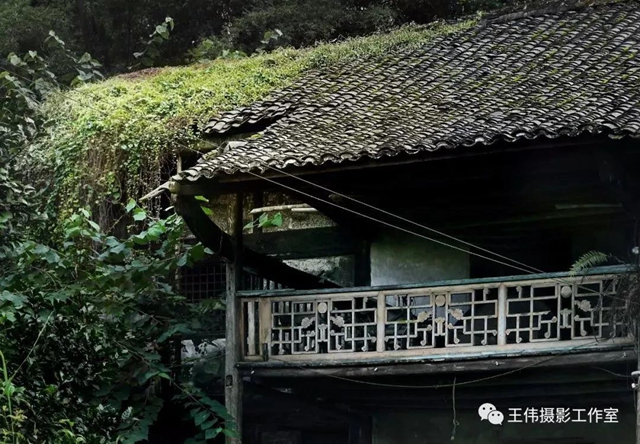 【我的鄉(xiāng)愁】合江：高山下的陳氏祠堂(圖34)