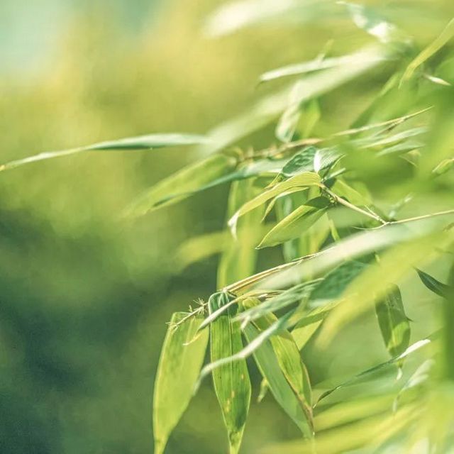 香囊|清雅端午，祝君安康
