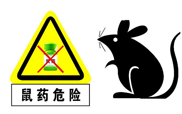 瀘州嬢嬢吃榴蓮竟老鼠藥中毒......