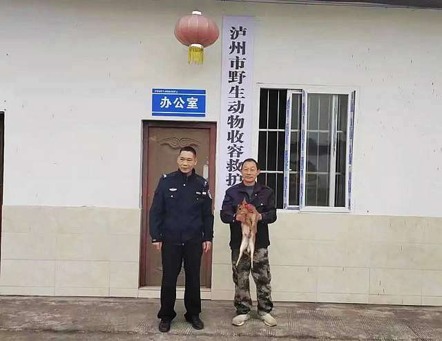 “蒜了吧，姜它放回大孜然吧”